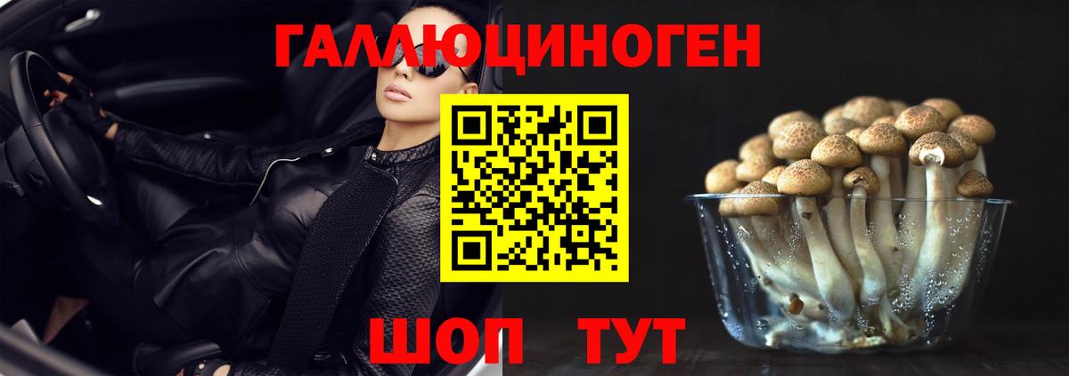 Псилоцибиновые грибы ЛСД Нягань
